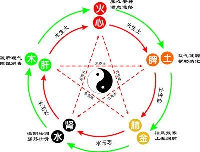 羽的五行|羽的五行属什么,羽字的五行属性,羽的寓意